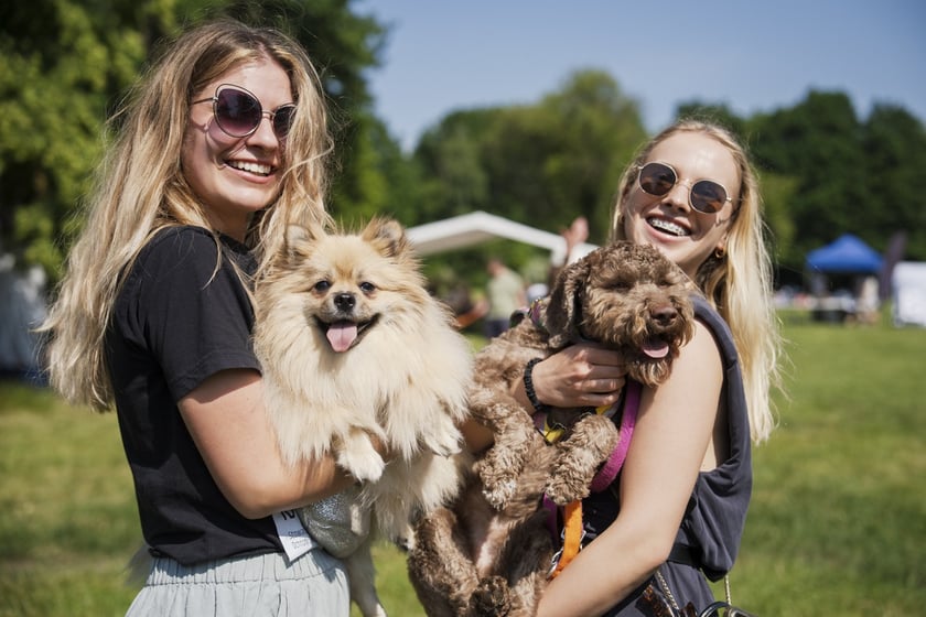 Wielki Piknik Charytatywny Grupy Ratuj w parku Grabiszyńskim