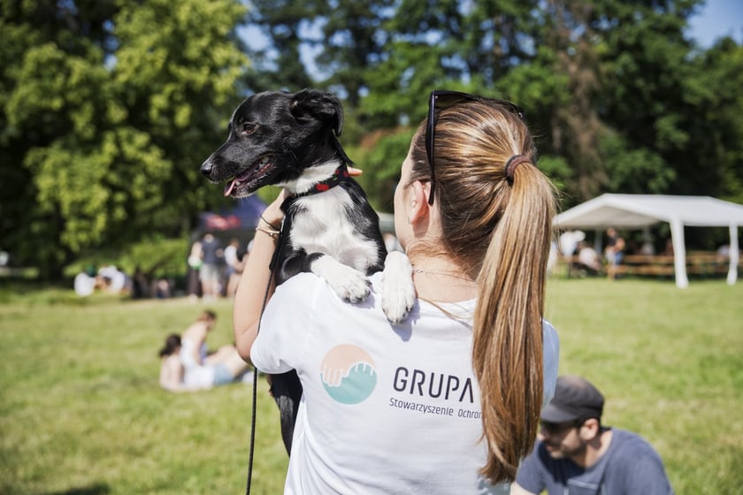 Wielki Piknik Charytatywny Grupy Ratuj w parku Grabiszyńskim