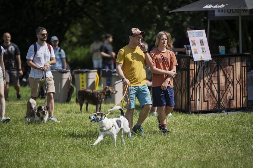 Wielki Piknik Charytatywny Grupy Ratuj w parku Grabiszyńskim