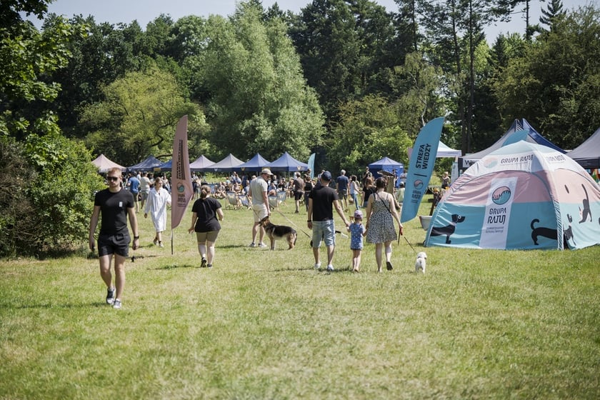Wielki Piknik Charytatywny Grupy Ratuj w parku Grabiszyńskim
