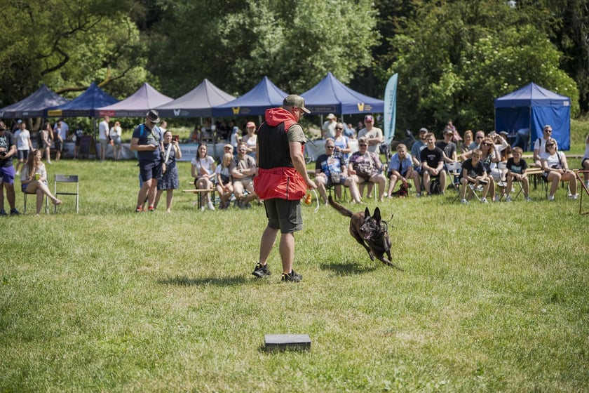 Wielki Piknik Charytatywny Grupy Ratuj w parku Grabiszyńskim