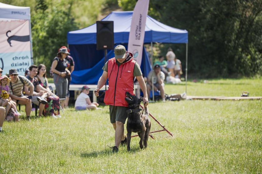 Wielki Piknik Charytatywny Grupy Ratuj w parku Grabiszyńskim