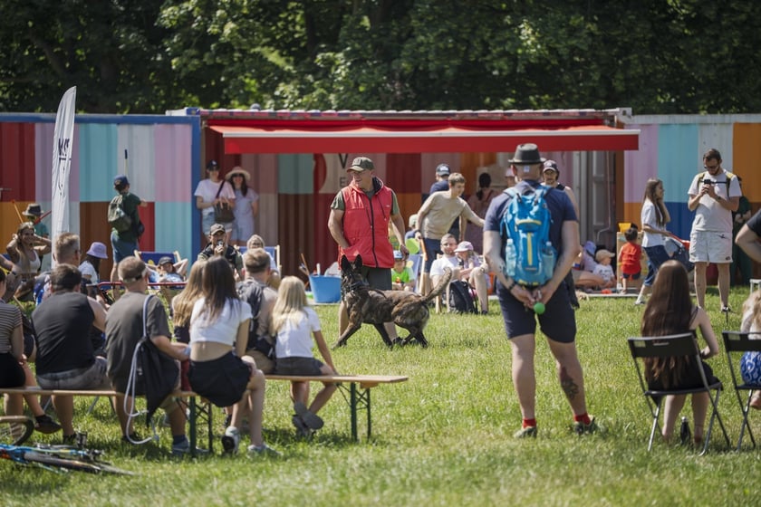 Wielki Piknik Charytatywny Grupy Ratuj w parku Grabiszyńskim