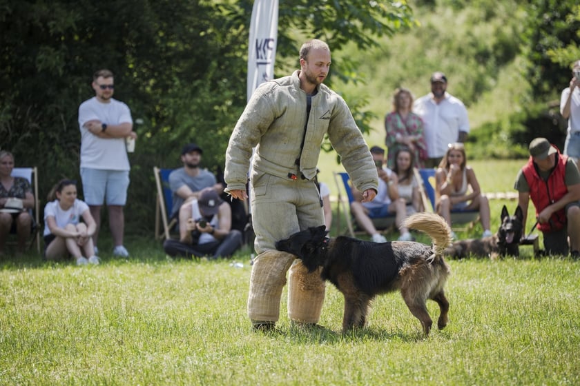 Wielki Piknik Charytatywny Grupy Ratuj w parku Grabiszyńskim