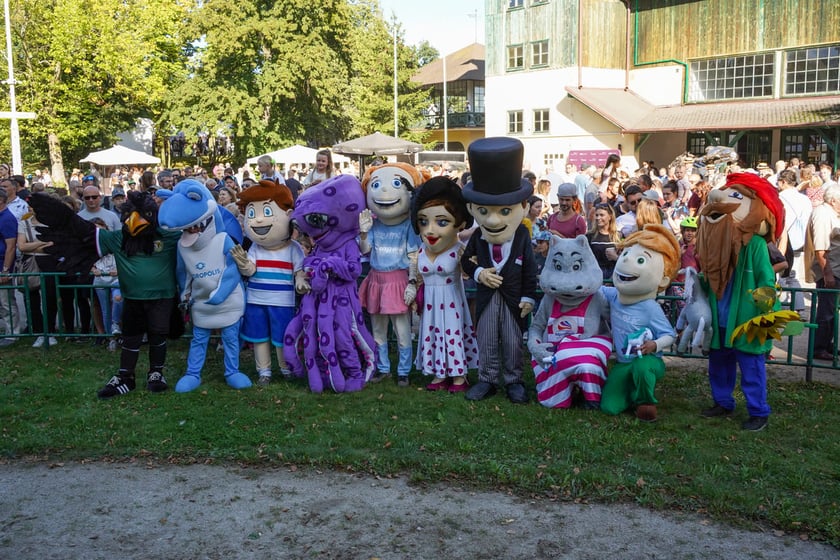 Atrakcje na Family Day na Partynicach, zdjęcie ilustracyjne