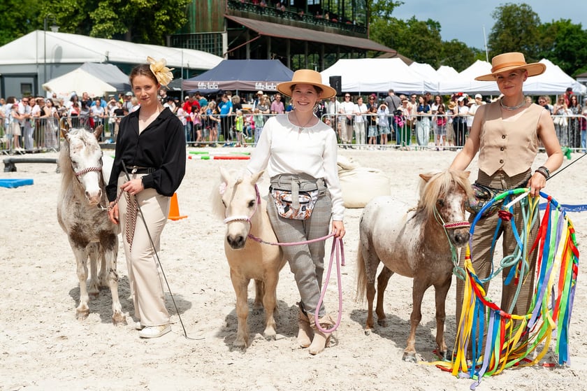 Atrakcje na Family Day na Partynicach, zdjęcie ilustracyjne