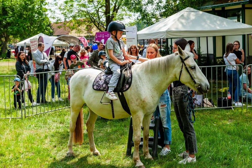 Atrakcje na Family Day na Partynicach, zdjęcie ilustracyjne