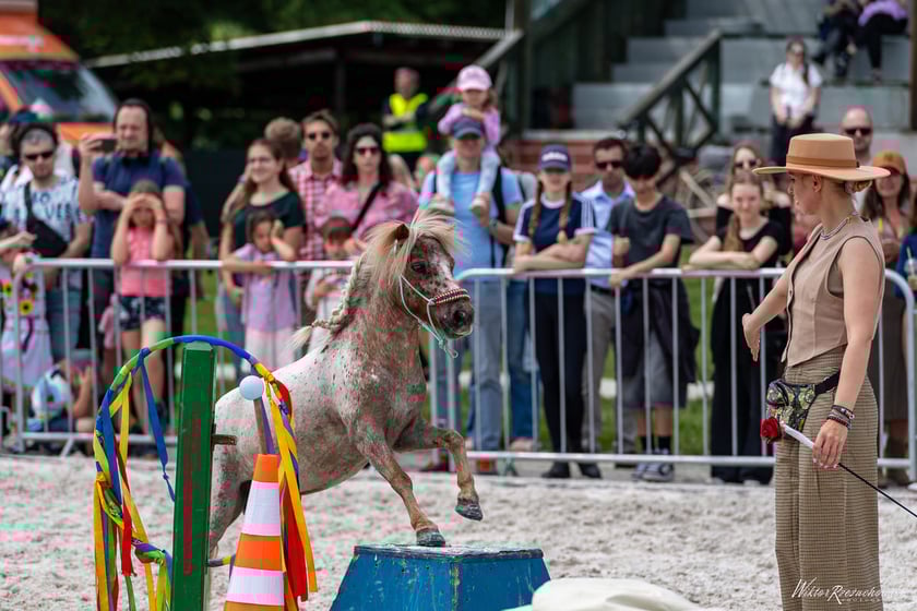 Atrakcje na Family Day na Partynicach, zdjęcie ilustracyjne