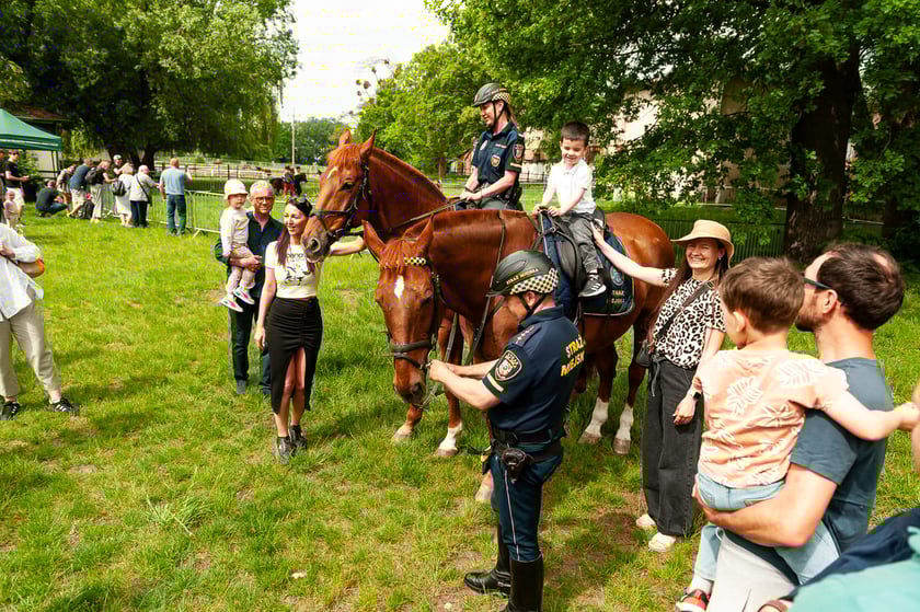 Atrakcje na Family Day na Partynicach, zdjęcie ilustracyjne