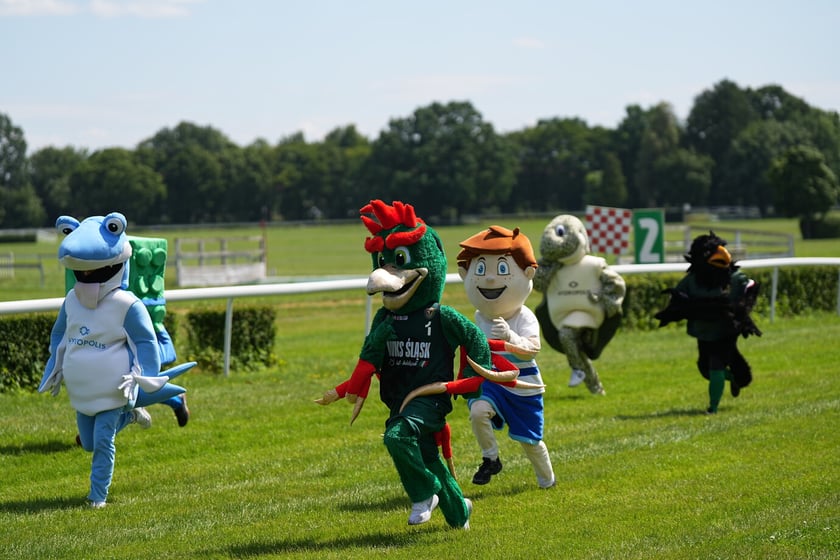 Family Day na Partynicach - 19.06.2025