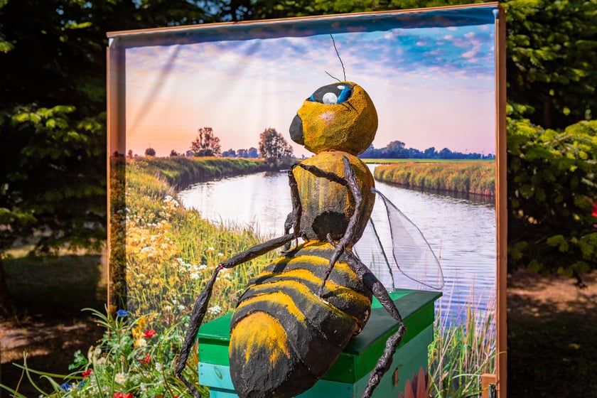 Piknik w parku Pawłowickim w niedzielę 22 czerwca 2025