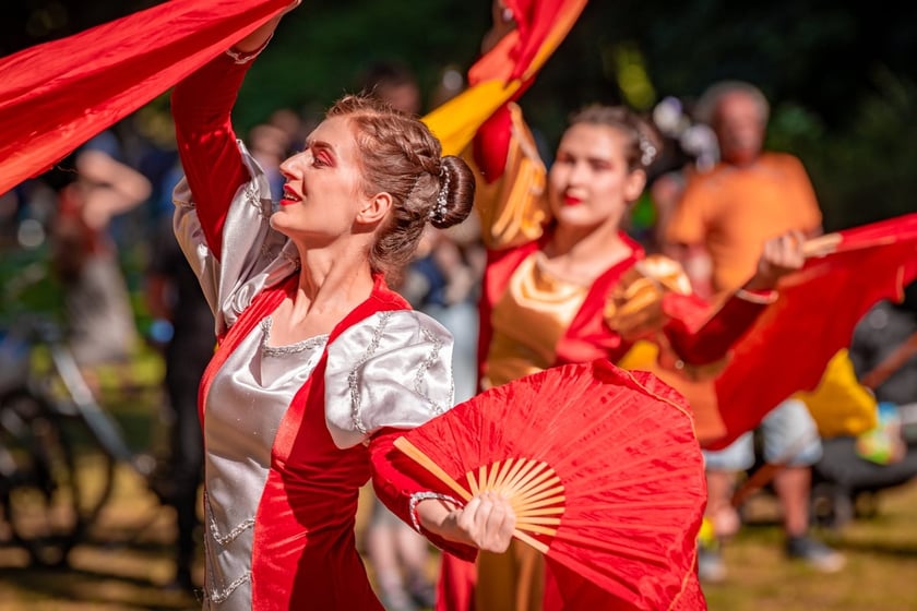 Wielki Piknik na Pawłowicach