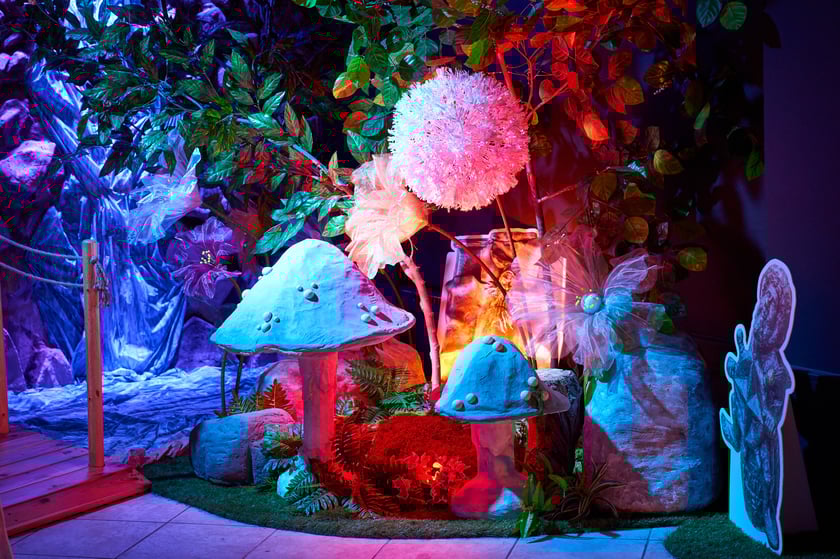 Dom Krasnali we Wrocławiu