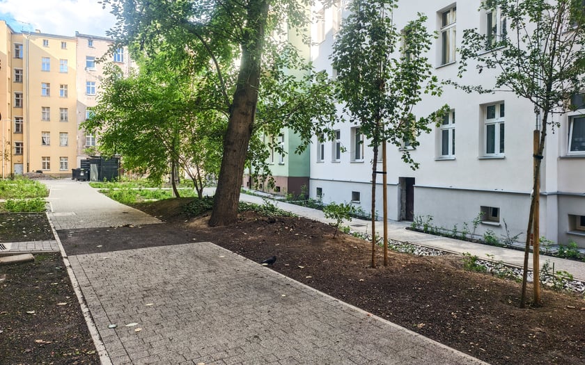 Podwórko na Ołbinie, między ulicami Rozbrat, Prusa, Sępa-Szarzyńskiego po rewitalizacji, czerwiec 2025