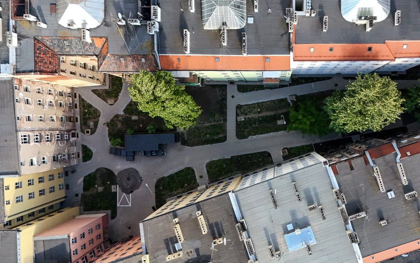 Podwórko na Ołbinie, między ulicami Rozbrat, Prusa, Sępa-Szarzyńskiego po rewitalizacji, czerwiec 2025