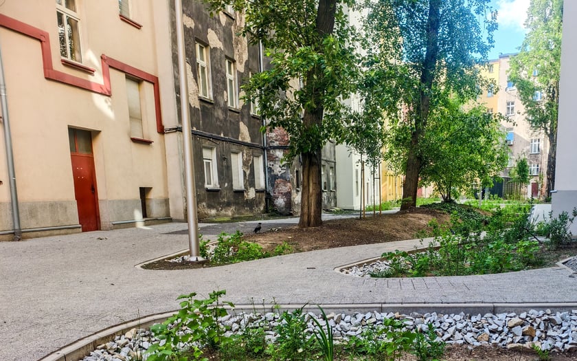 Podwórko na Ołbinie, między ulicami Rozbrat, Prusa, Sępa-Szarzyńskiego po rewitalizacji, czerwiec 2025