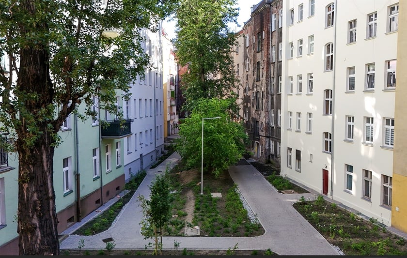 Podwórko na Ołbinie, między ulicami Rozbrat, Prusa, Sępa-Szarzyńskiego po rewitalizacji, czerwiec 2025