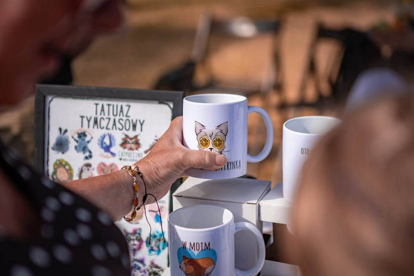 Dzień z Ekostrażą w parku Tołpy, 5 lipca