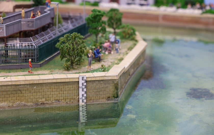 Miniaturowe ZOO w Kolejkowie