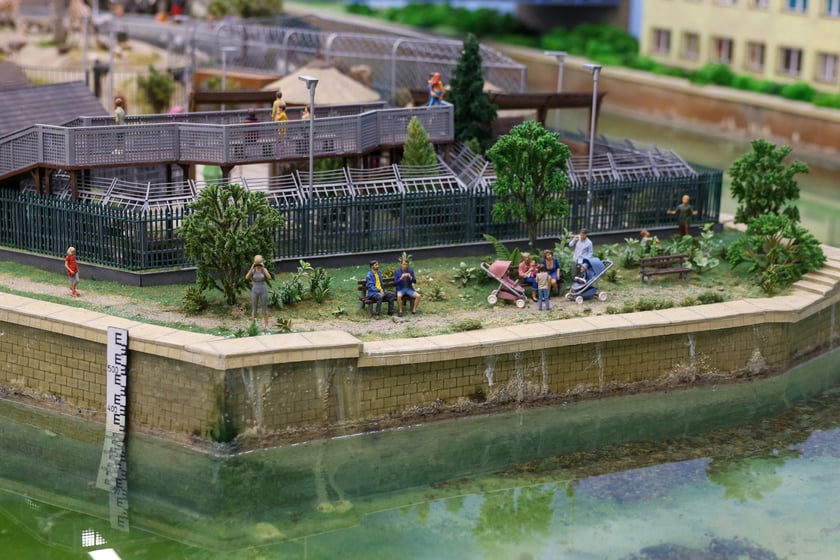 Miniaturowe ZOO w Kolejkowie