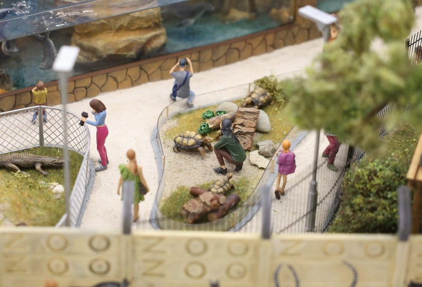 Miniaturowe ZOO w Kolejkowie