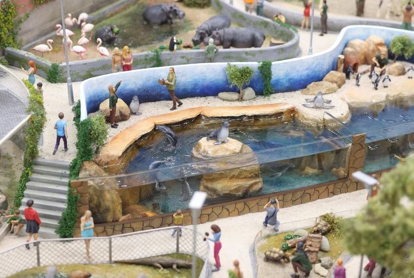 Miniaturowe ZOO w Kolejkowie