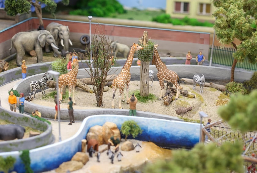Miniaturowe ZOO w Kolejkowie