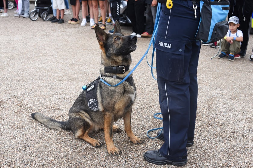 Piknik z Policją na Pergoli - 13.07.2025