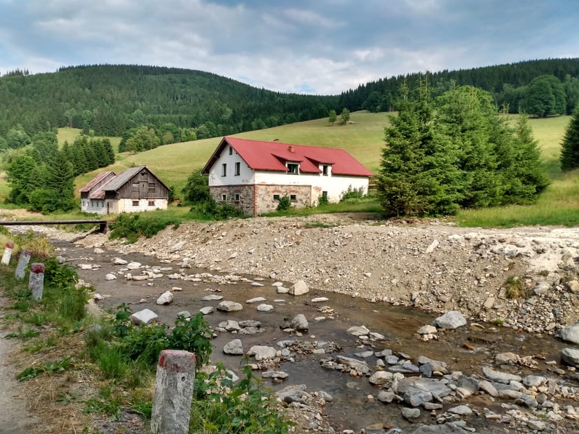 Bielice