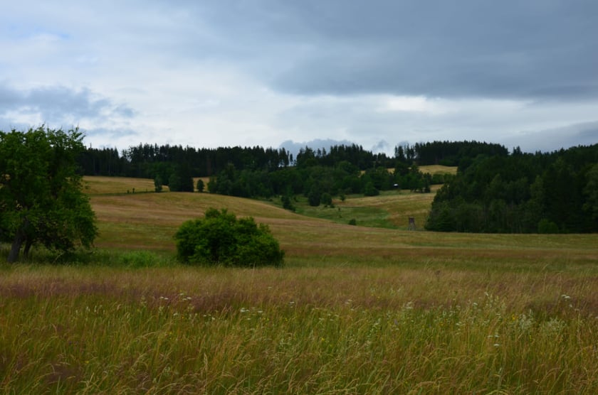 Łąki za Przełęczą Gierałtowską