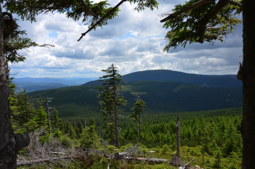 Widok z Czarnej G&oacute;ry na Śnieżnik
