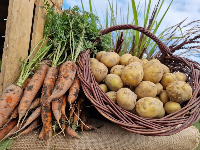 Spotkanie na Farmie Miejskiej 18 lipca 2025