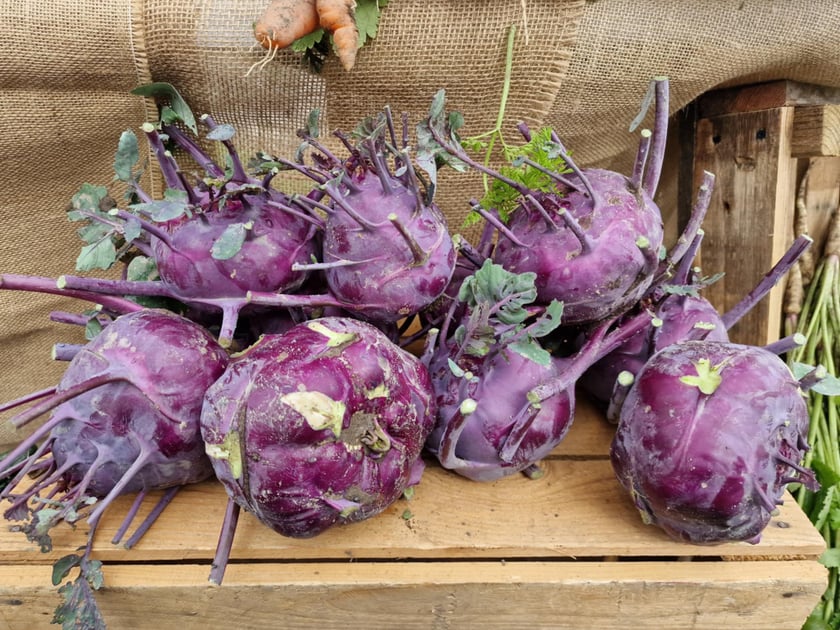 Spotkanie na Farmie Miejskiej 18 lipca 2025