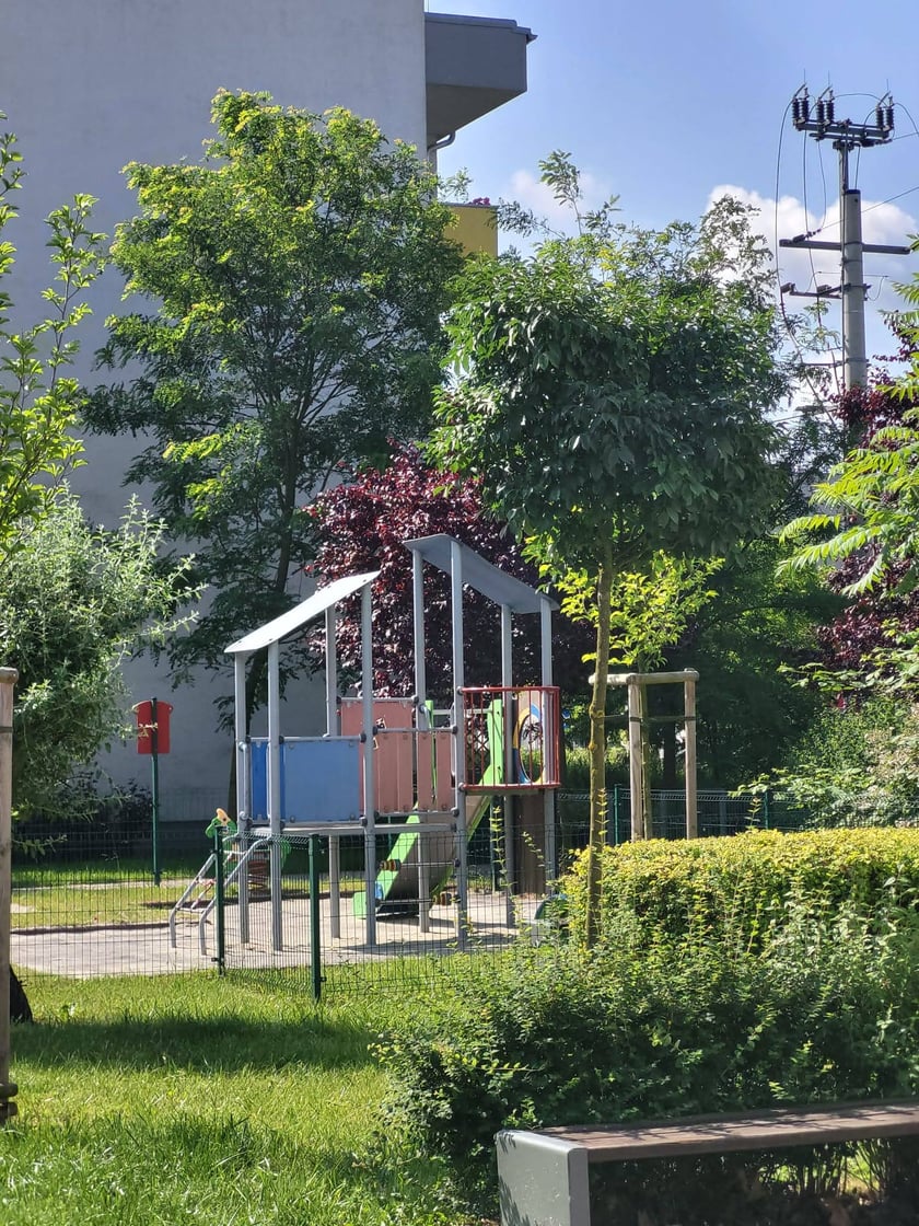 Leśnica, osiedle TBS Wrocław, nowe nasadzenia roślin