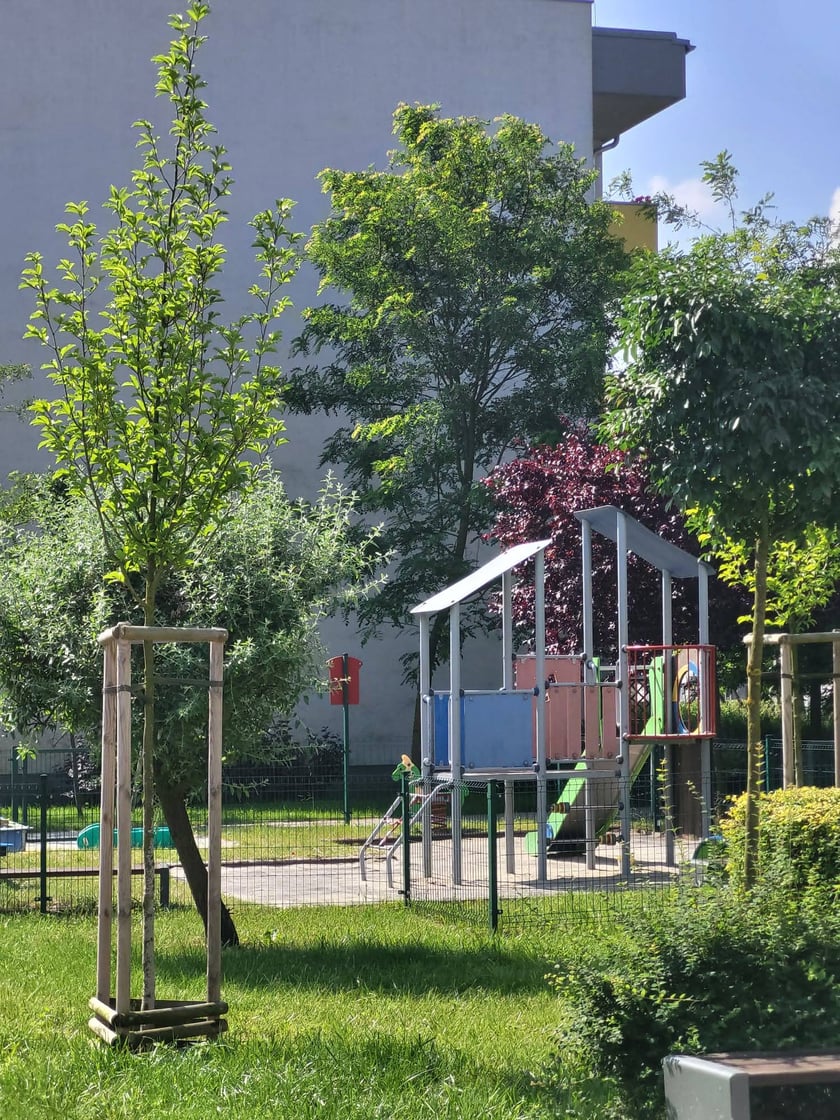 Leśnica, osiedle TBS Wrocław, nowe nasadzenia roślin