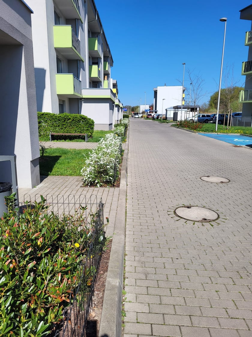 Leśnica, osiedle TBS Wrocław, nowe nasadzenia roślin