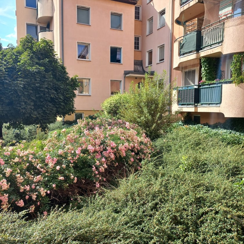 Psie Pole, osiedle TBS Wrocłąw, nowe nasadzenia roslin