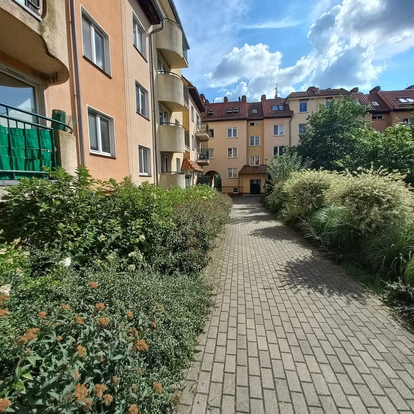 Psie Pole, osiedle TBS Wrocłąw, nowe nasadzenia roslin