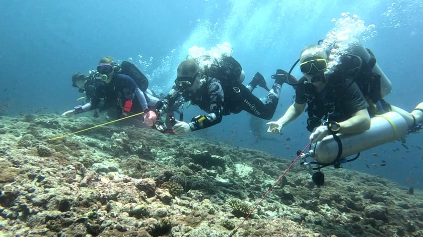 3 nurk&oacute;w pod wodą