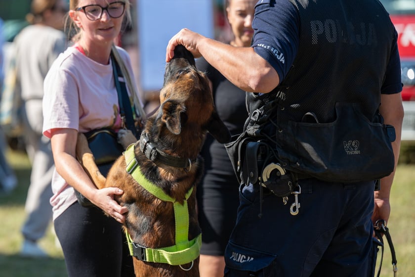 IPAPOLRUN 2025 we Wrocławiu - bieg funkcjonariuszek i pracownic cywilnych policji z Dolnego Śląska, z okazji 100-lecia kobiet w policji