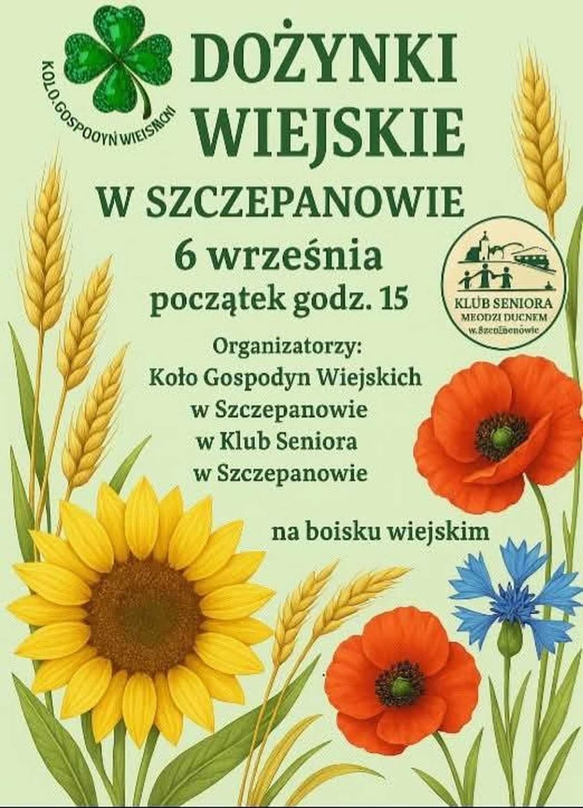Program wydarzenia