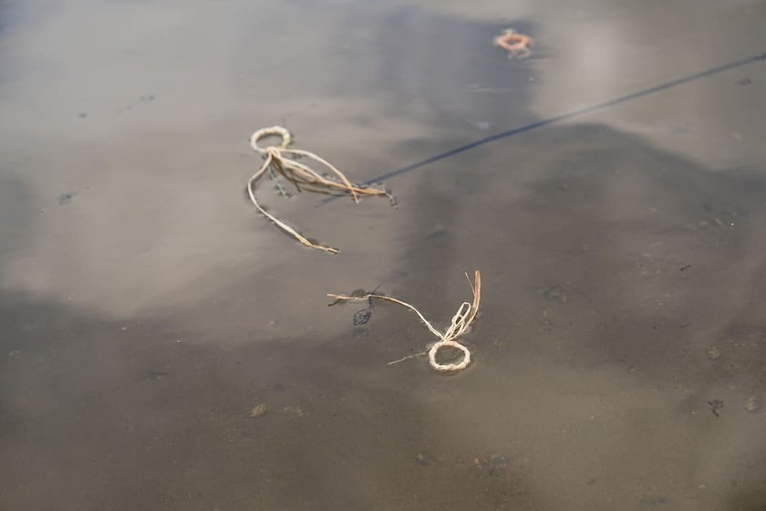 Slavic Year: Obrzęd Zaślubin z Rzeką Odrą, bar plenerowy Hot Spot, 7 września 2025