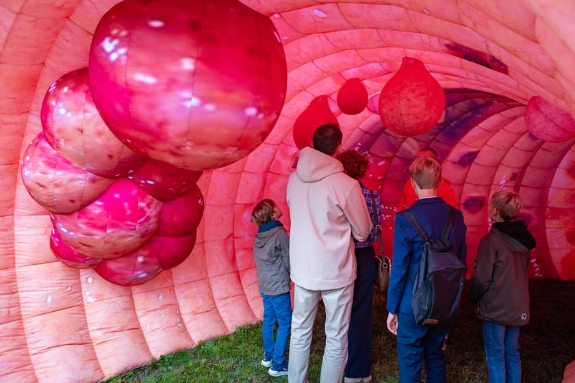 Miasteczko Naukowe przy placu Katedralnym. Wrocław, 13.09.2025