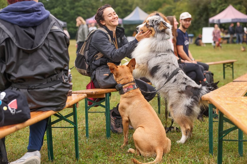 Piknik Adopciaka zorganizowany przez Grupę Ratuj w parku Grabiszyńskim. Wrocław, 14.09.2025