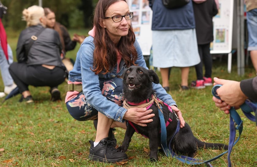 Piknik Adopciaka zorganizowany przez Grupę Ratuj w parku Grabiszyńskim. Wrocław, 14.09.2025