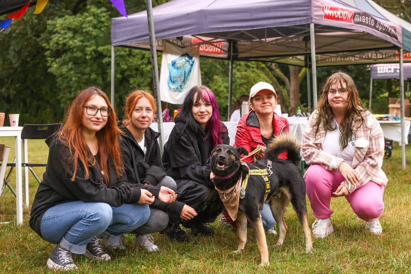 Piknik Adopciaka zorganizowany przez Grupę Ratuj w parku Grabiszyńskim. Wrocław, 14.09.2025