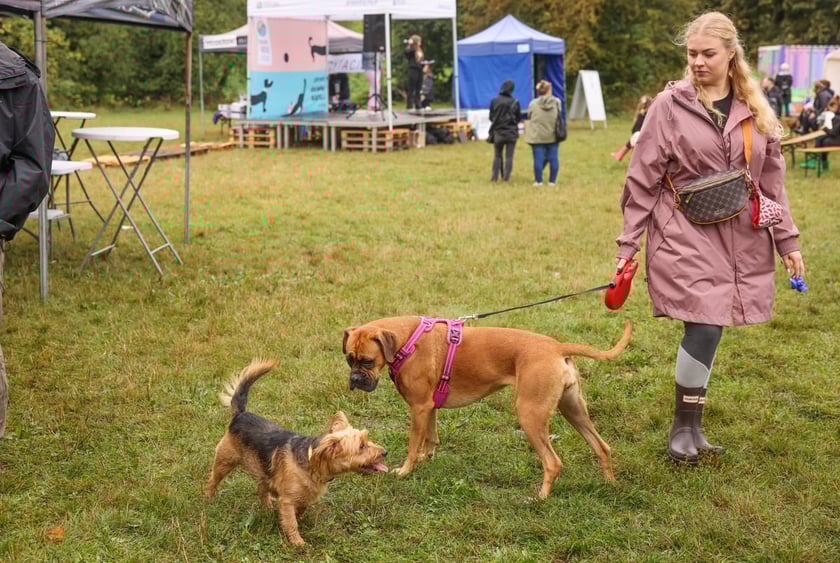 Piknik Adopciaka zorganizowany przez Grupę Ratuj w parku Grabiszyńskim. Wrocław, 14.09.2025