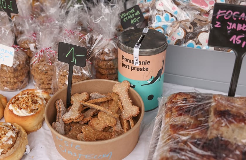 Piknik Adopciaka zorganizowany przez Grupę Ratuj w parku Grabiszyńskim. Wrocław, 14.09.2025