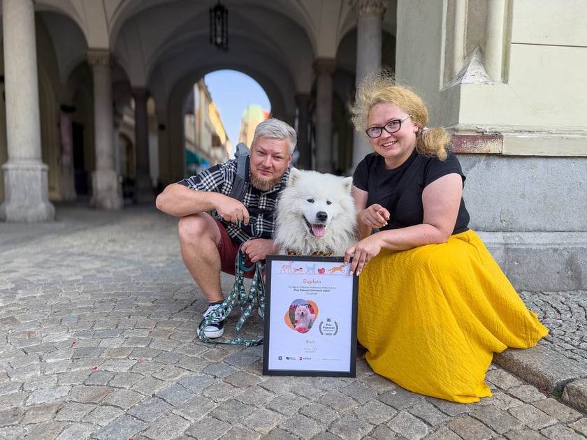 Bouli - 3. miejsce w konkursie "Psia Piękność"