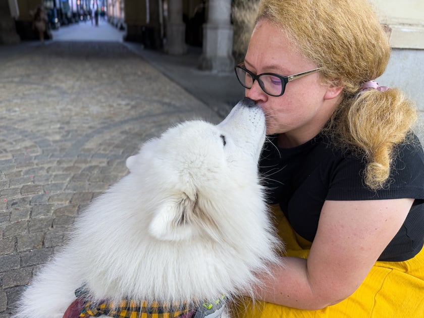 Bouli - 3. miejsce w konkursie "Psia Piękność"